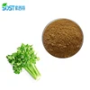 /product-detail/sost-supply-organic-apigenin-98-celery-seed-extract-powder-60128624225.html