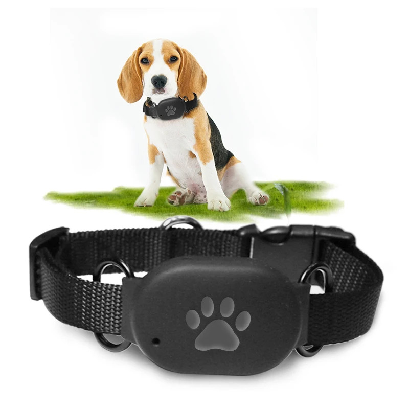tracking collars for beagles