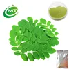 /product-detail/organic-moringa-leaves-powder-moringa-oleifera-leaf-powder-moringa-powder-extract-62077668748.html