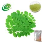 Organic Moringa leaves powder Moringa Oleifera Leaf Powder Moringa powder extract