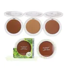 Private Label Compact Powder Press Wholesales Makeup Foundation Face Powder