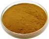 /product-detail/kola-nut-extract-powder-60180349120.html