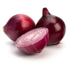 Fresh red onion for wholesale
