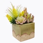 Mixed Realistic Plants Artificial Succulents Picks Small Bulk Flowers