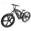 Aluminum frame electric bike/DIY 36v 250w electric bike kit for sale cheap/Beach Electric Bike