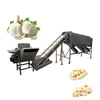 /product-detail/garlic-processing-machine-garlic-separator-garlic-peeling-grading-sorting-machine-62081733656.html