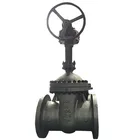 Asme b16.10 a351 cf8 gate valve stem extension
