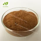Manufactory Supply Bulk Halal Organic Vanilla Flavour Extract Powder With Best Price