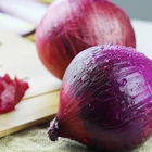 Lowest price fresh red onion export to russia importer