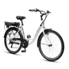 EN 15194 steel frame adult electric bike