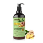 OEM sulfate free natural organic herbal ginger hair growth shampoo