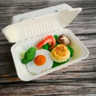 eco friendly promotional biodegradable disposable bagasse 9*6 inch paper lunch box packaging