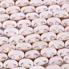 Wholesale good quality delicious frozen champignon mushroom