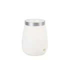 Waterproof USB rechargeable camping light