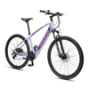 /product-detail/china-manufacturer-36v-250w-motor-electric-bike-62082691646.html