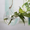 Best Prices Good Quality Wall Hanging Clear Glass Flower Vase