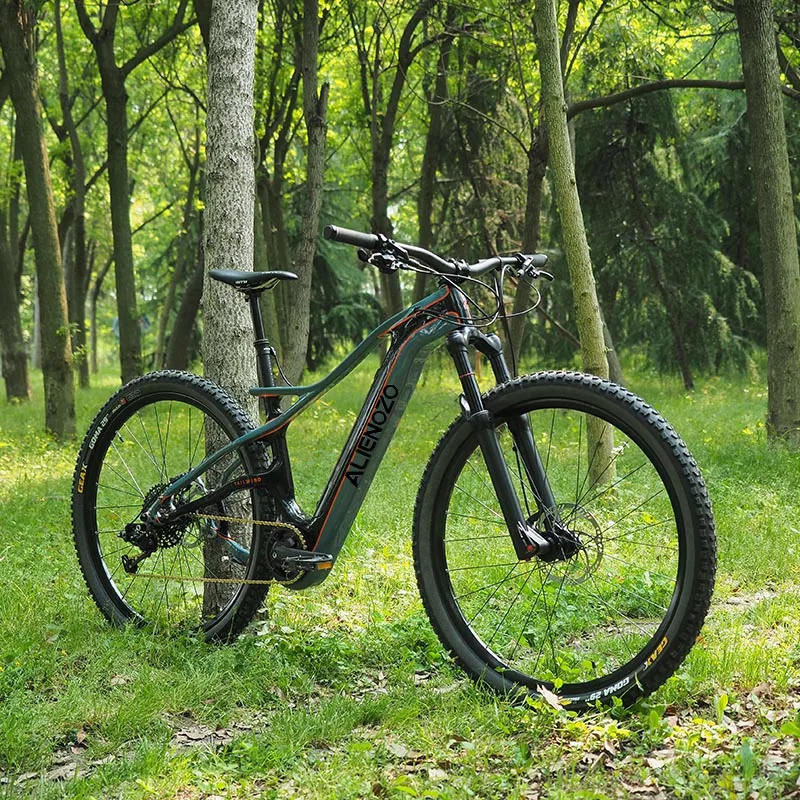 Cheap Center Motor Drive Electric Mountain Bike 29" Customizable Motor Power 36V250W 48V350w Custom Electric Bicycle
Cheap Center Motor Drive Electric Mountain Bike 29" Customizable Motor Power 36V250W 48V350w Custom Electric Bicycle