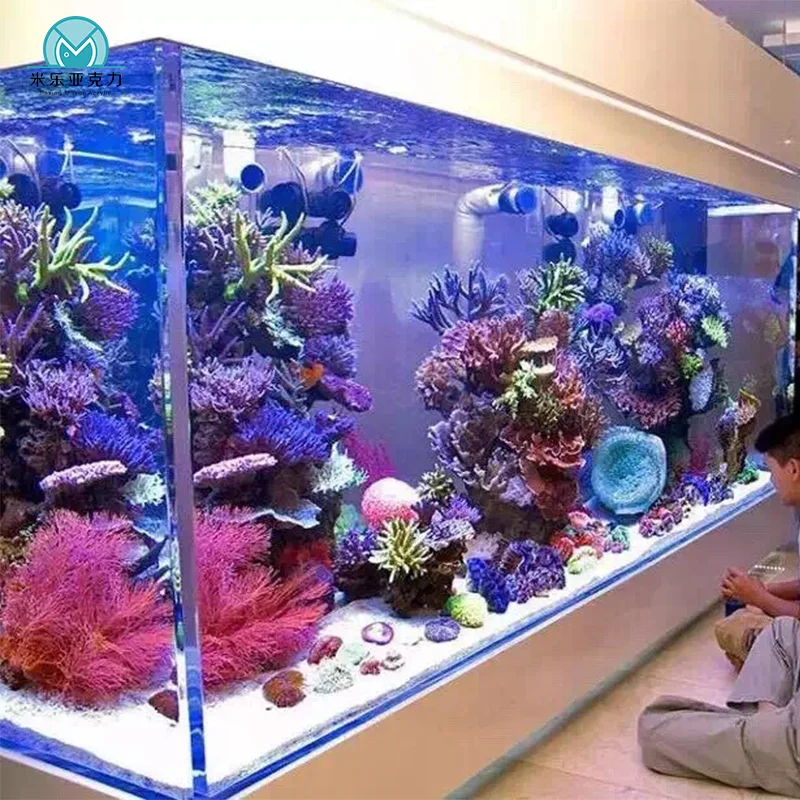 Aquarium für Süßwasserfische und Salzwasser Fisch