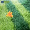 Soccer sport fields synthetic carpet artificial grass with natural looking