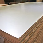 18mm melamine paper faced plywood phenolic board