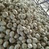 /product-detail/chinese-exporters-supply-high-quality-garlic-for-garlic-importers-62096143706.html