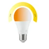 Factory direct supplier china factory 3w led bulb ce bulbs candle led light bulb lamp