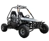 COC Standard EEC dune buggy 200cc cheap go karts for adults racing