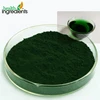 Bulk Natural chlorophyll powder sales well for E141 food coloring