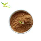 High Quality Spinach Leaf Powder Extract