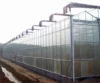 Hot Sale New Design Greenhouse PC Greenhouse for Soil-less Culture