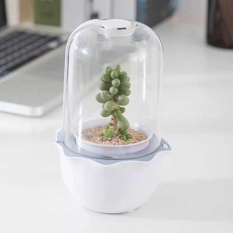 2021 new arrival desk succulent pot home decorative artificial indoor succulent planter pot wholesale, White
2021 new arrival desk succulent pot home decorative artificial indoor succulent planter pot wholesale, White