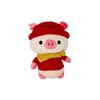 2019 popular plush toys small size kawayii red pig hand holding pillow