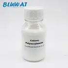 Thailand Cationic Polyacrylamide Flocculant CPAM Produced By Bluwat Chemicals