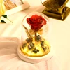 Hot Sale Beauty Red Rose Everlasting Preserved Red Eternal Flower With Led Lights In Glass Dome For Valentine's Day Present
