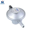 /product-detail/lpg-gas-regulator-types-diameter-20-for-bangladesh-62078700544.html