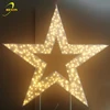 Fancy design hig end waterproof for holiday street yard decorative Led star lights