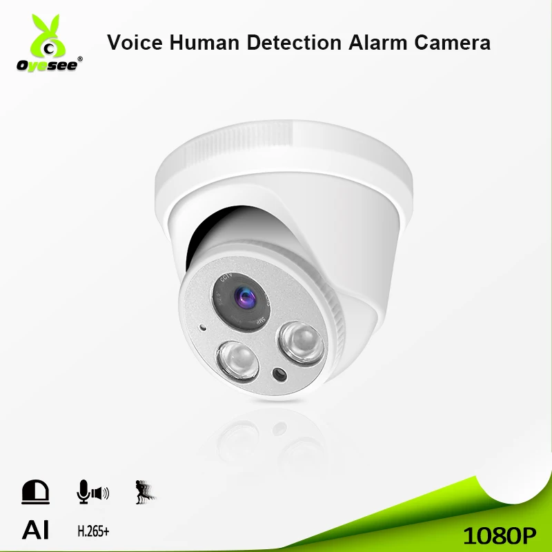 ip camera with voice