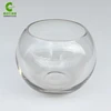 Ball shaped round glass bowl vase fish tank wholesale clear glass vase