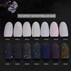 China Suppliers Nail Glitter Private Label Nails Acrylic Powder Color Pigment Velvet Flocking Powder For Nail Art