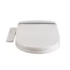 /product-detail/heated-electric-bidet-toilet-seat-toilets-white-bidet-toilet-seat-electronic-62093522856.html