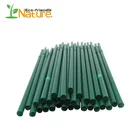 Newest Material Biodegradable Compostable Plastic Pla Straw