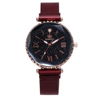 Magnet Watch Women Vogue Mesh Steel Sky Rome Rhinestone Classic Dress Bracelet Watches TW095
Magnet Watch Women Vogue Mesh Steel Sky Rome Rhinestone Classic Dress Bracelet Watches TW095