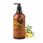 Natural sulfate free hair care product private label ginger repair lasting hydrating conditioner