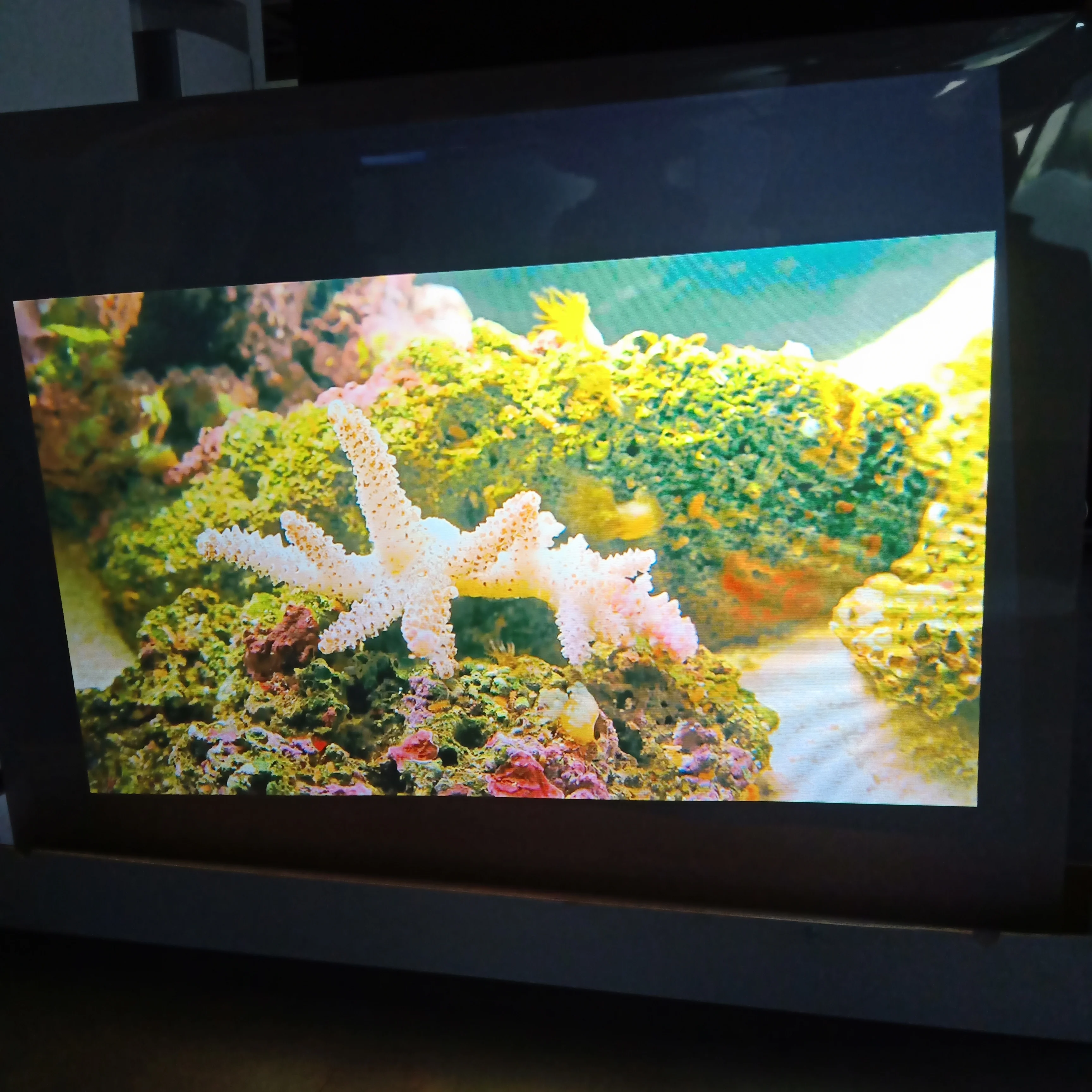 2019 HD advertising holographic advertising film six colors transparent gray black
2019 HD advertising holographic advertising film six colors transparent gray black