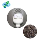 Black Pepper Extract Powder 3% 10% 50% 95% 98% Curcumin Piperine