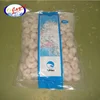 Wholesale seafood dry fresh water frozen shrimp and seafood