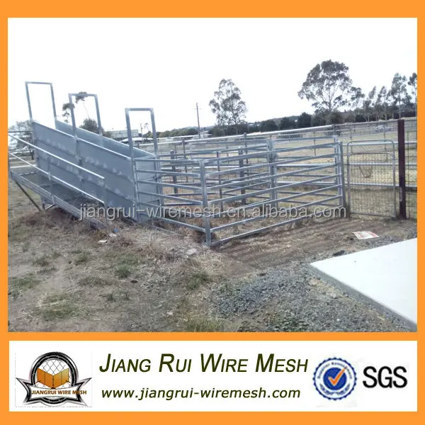 widely used in animal husbandry to raising livestocks (cattle