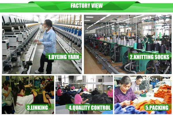 factory-view.jpg