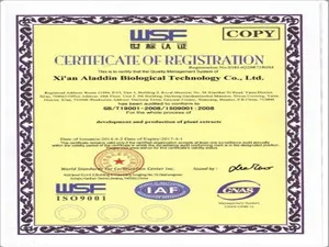 ISO9001_.jpg