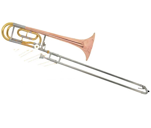 TXSL-810.jpg